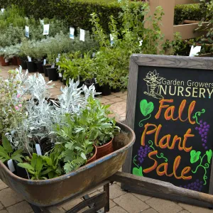 2016 Fall Native Plant Sale Preview Party