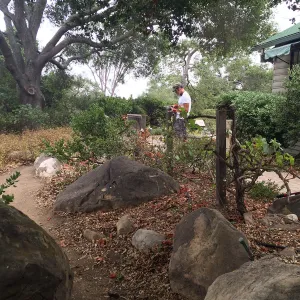 Adam Kuster working in the Home Demo Garden