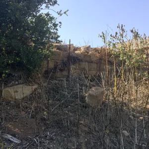 Pritzlaff Conservation Center construction, East side of site, Historic Wall
