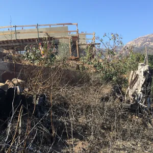 Pritzlaff Conservation Center construction, East side of site, Historic Wall