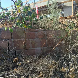 Pritzlaff Conservation Center construction, East side of site, Historic Wall