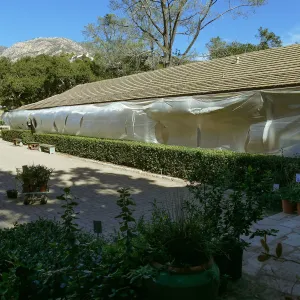 North Wing repainting