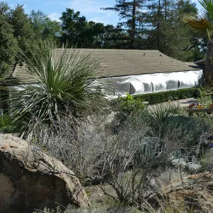 North Wing repainting, view from Desert Section