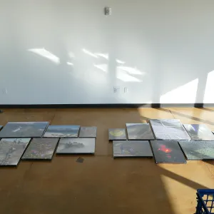Installation of Bob Haller's Plants of California photo exhibit