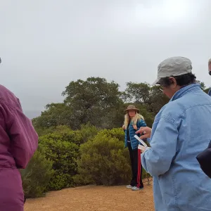 Santa Cruz Island Trip, group looking at Arctostaphylos (Manzanita) with Steve Junak (Diane Fox, Diane Galvan, Steve Junak)