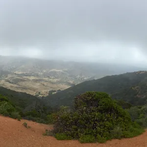 Santa Cruz Island Trip, Chuck Rennie looking out over landscape