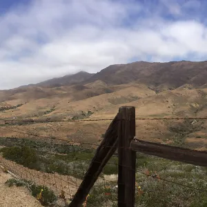 Santa Cruz Island Trip