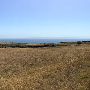 Santa Cruz Island Trip, group explores grasslands