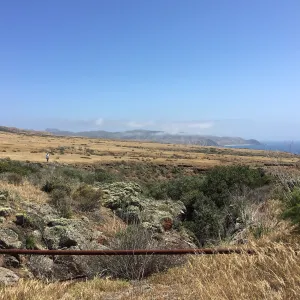 Santa Cruz Island Trip, group explores grasslands