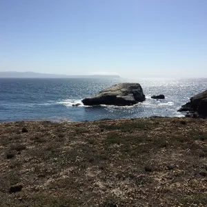 Santa Cruz Island Trip, Fraser Point looking to Santa Rosa with Santa Cruz Island dudleya (Dudleya nesiotica)