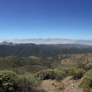 Santa Cruz Island Trip