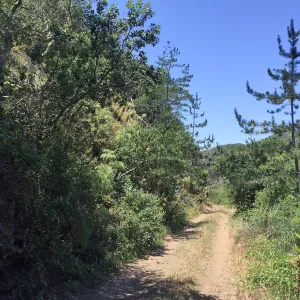 Santa Cruz Island Trip