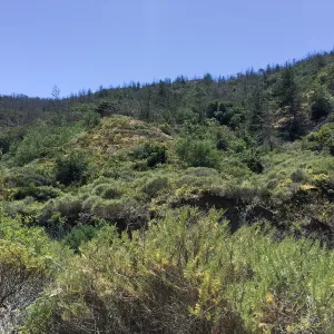 Santa Cruz Island Trip