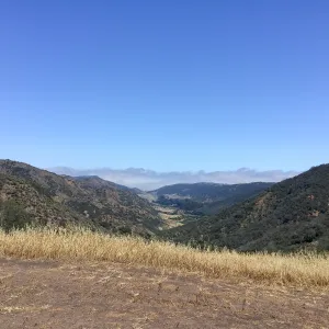 Santa Cruz Island Trip