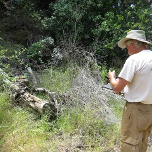 Santa Cruz Island Trip, Steve Junak documenting plant species