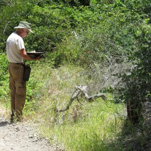 Santa Cruz Island Trip, Steve Junak documenting plant species
