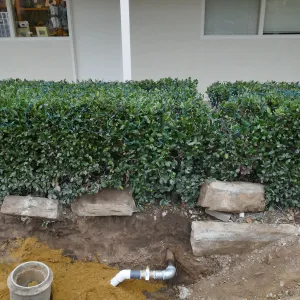 Courtyard renovation, rerouting piping, middle of courtyard looking west, southern crossing replacement