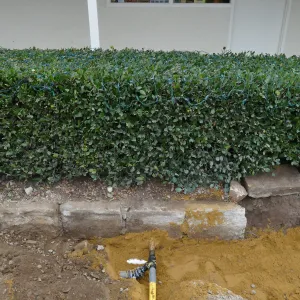 Courtyard renovation, rerouting piping, middle of courtyard looking west, northern crossing