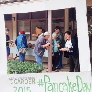 Pancake Day for volunteers 2015