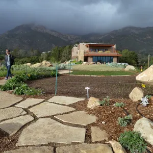 Island View Garden, view looking northeast from south steps