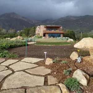 Island View Garden, view looking northeast from south steps