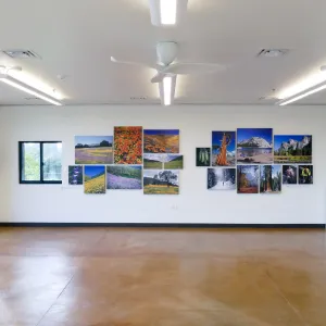 Pritzlaff Conservation Center Exhibit Room, Bob Haller Plants of California Photography Exhibit, west wall