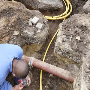 Gas line rerouting in Courtyard and Garden Growers Nursery, view from just outside northwest corner of Courtyard, looking west