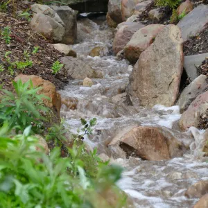 Arroyo creekbed during winter rainstorm