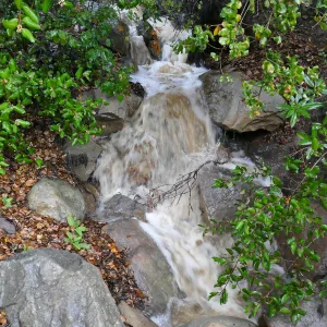 Stormwater in Arroyo