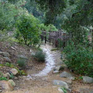 Stormwater on path near Teahouse