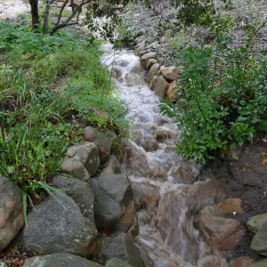 Arroyo creekbed during winter rainstorm