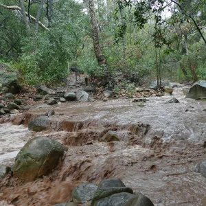 Mission Creek during rainstorm, at lower crossing