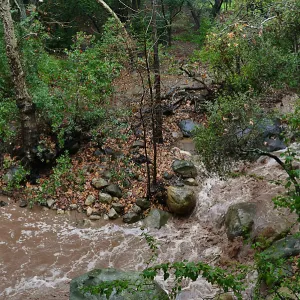 Mission Creek during rainstorm, just above lower crossing