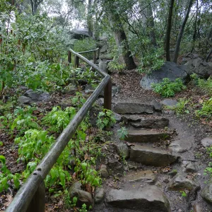 Steps into Canyon from Manzanita Section in the rain