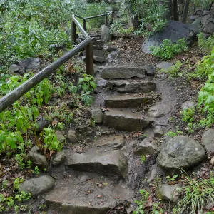 Steps into Canyon from Manzanita Section in the rain