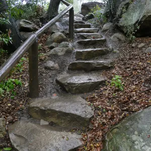 Steps into Canyon from Manzanita Section in the rain