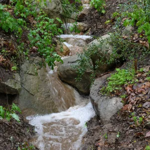 Stormwater flow in Canyon