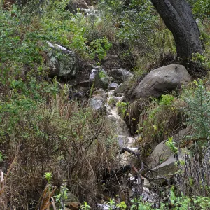 Stormwater flow in Canyon