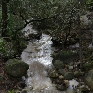 Mission Creek below Mission Dam