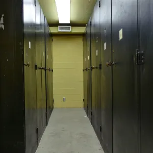 Old herbarium cabinets after collection was moved to the Pritzlaff Conservation Center