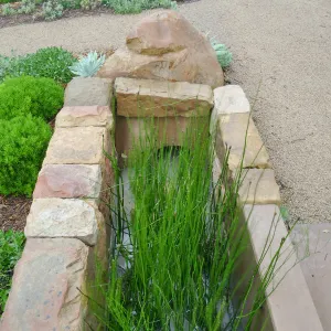 Bioswale at the Pritzlaff Conservation Center filtering runoff during a rainstorm