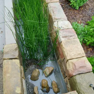 Bioswale at the Pritzlaff Conservation Center filtering runoff during a rainstorm