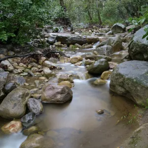 Mission Creek at lower crossing