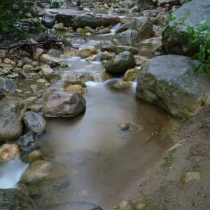 Mission Creek at lower crossing