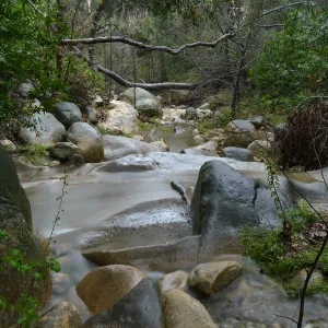 Mission Creek below lower crossing