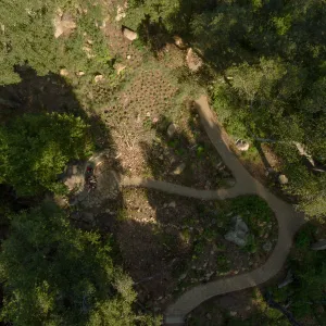 Wooded Dell, aerial view