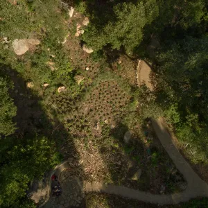 Wooded Dell, aerial view