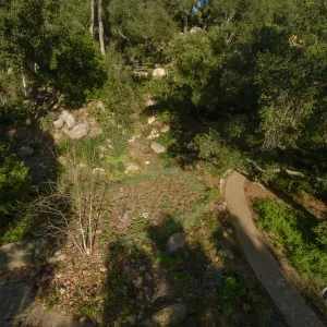 Wooded Dell, aerial view
