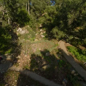 Wooded Dell, aerial view