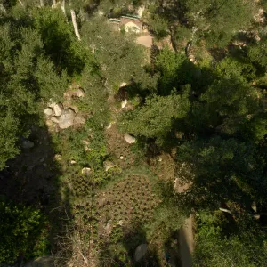 Wooded Dell, aerial view